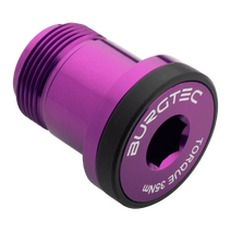 Burgtec SRAM T-Type Derailleur Bolt  X0.XX - Purple Rain