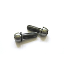 Burgtec M5x20 Ti Bolts 888 (2pcs)